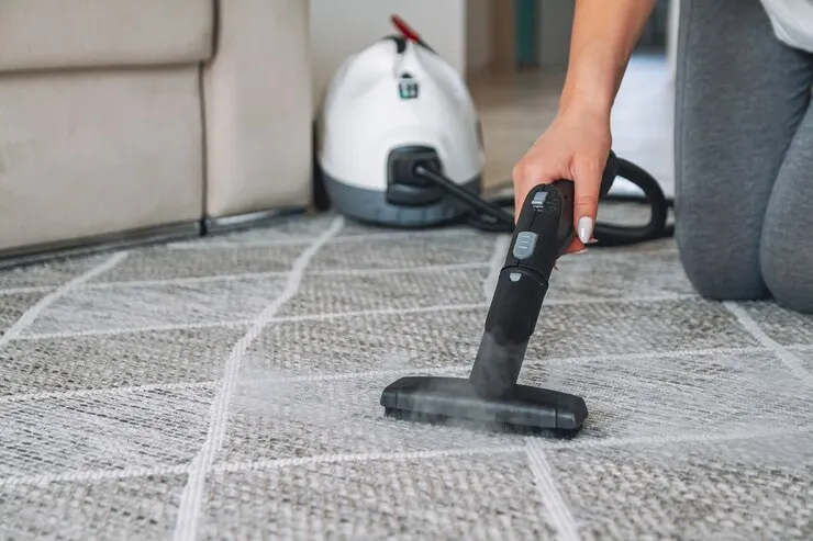 Best Ways to Clean and Disinfect a Carpet?