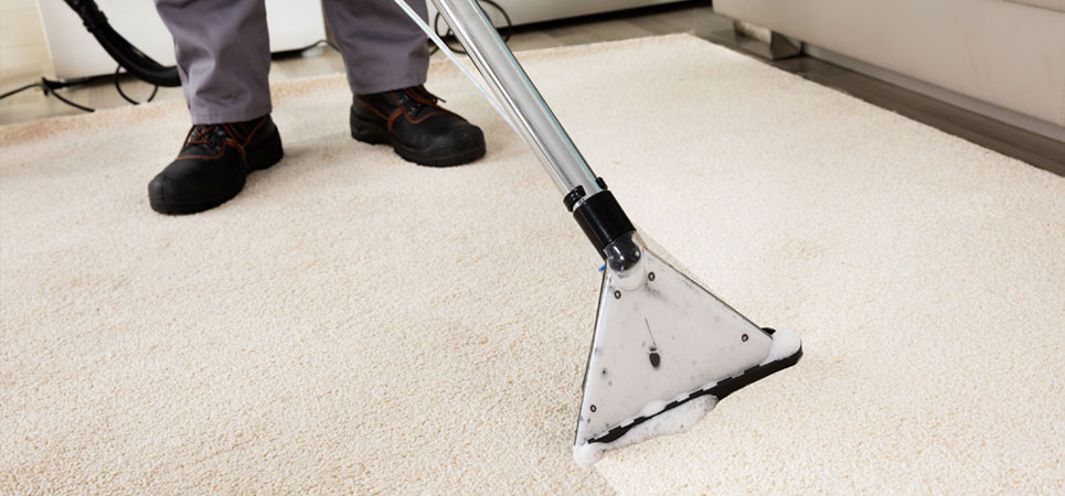 Are You Seraching Best Carpet Cleaning in Yallambie?