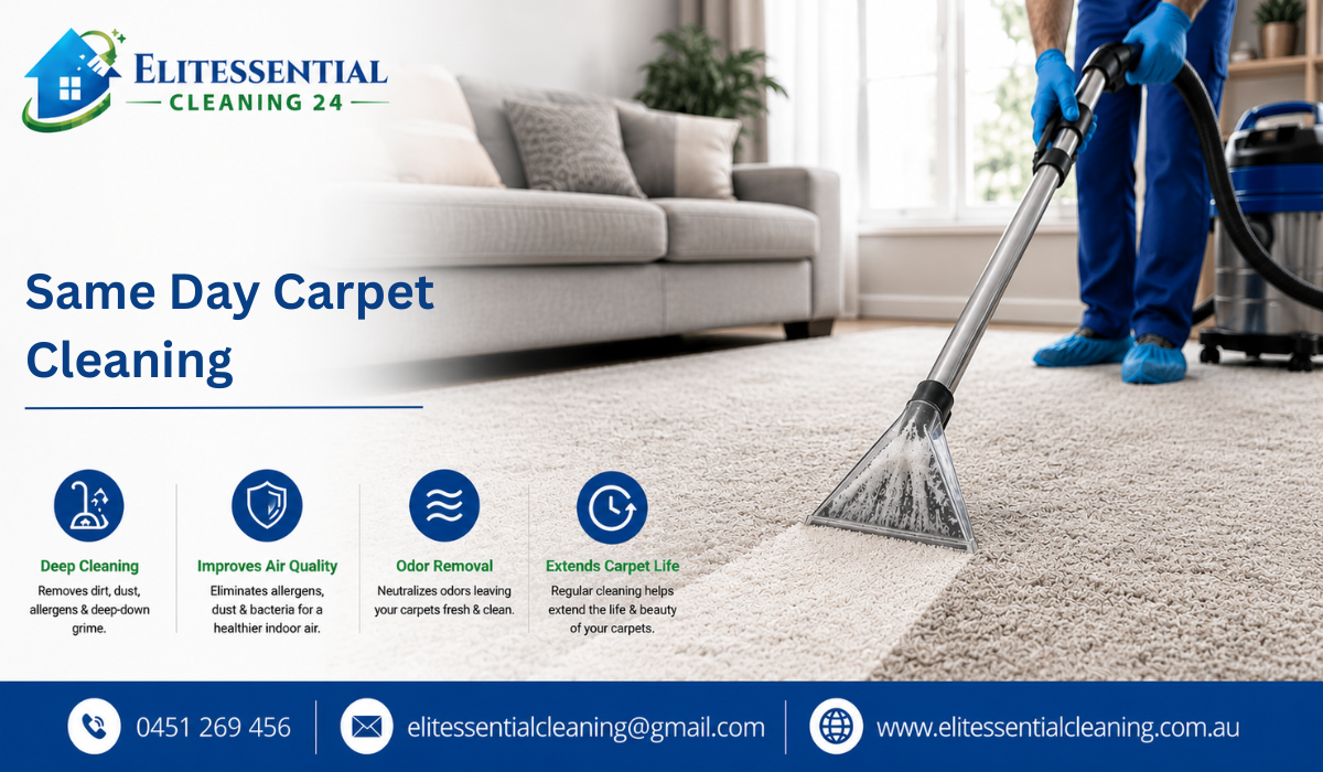 Same Day Carpet Cleaning